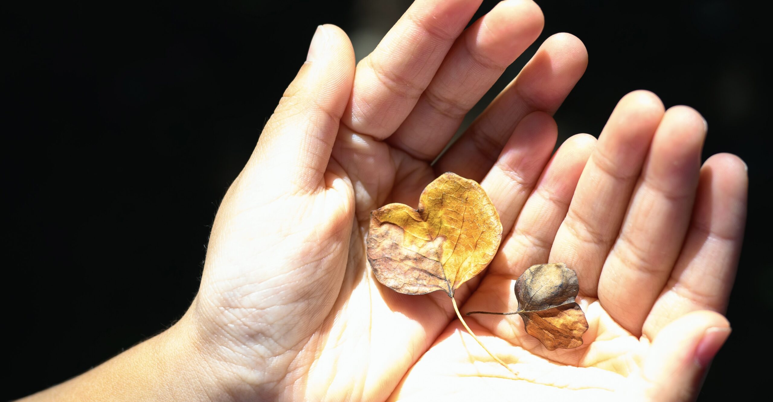 手のひらの葉っぱ